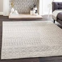 8 x 10 Area Rugs