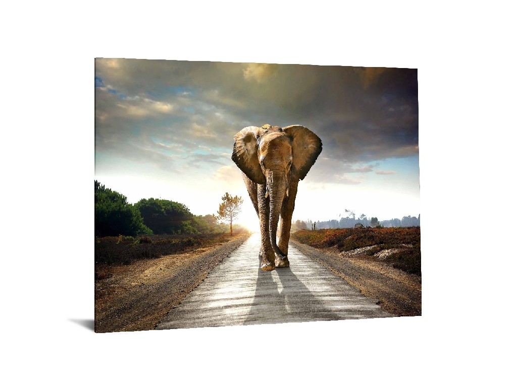 40x60 Billiant Tempered Glass "elephant Journey" By Classy Art - Classy Art Sf1349