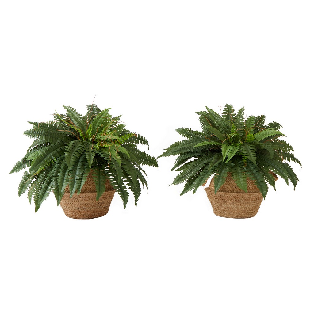 23in. Artificial Boston Fern Plant with Handmade Jute &amp; Cotton Basket with Handles DIY KIT  (Set of 2) - Nearly Natural T4483-S2