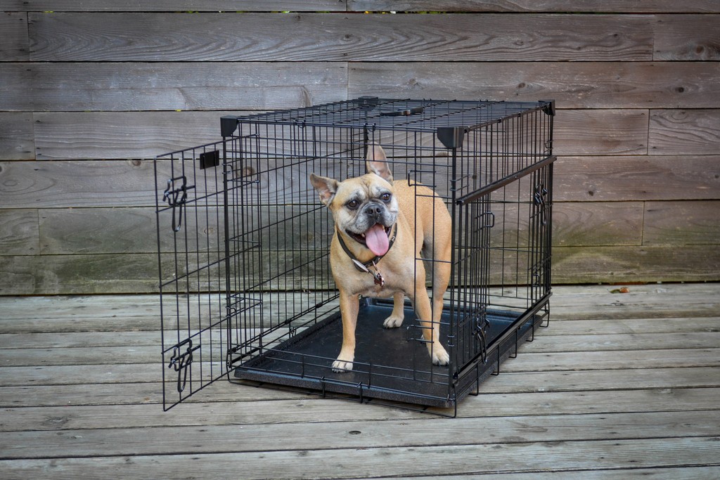Lucky Dogâ„¢ 30â€� Double-Door Crate with Sliding Doors - Jewett Cameron Company ZW 51530