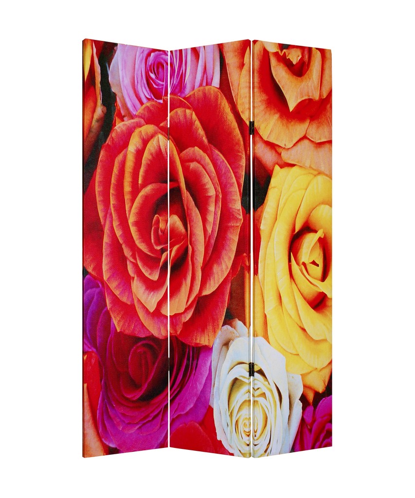  Daisy And Rose Screen - Screen Gems SG-104