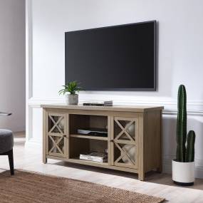 Colton Rectangular TV Stand for TV's up to 55" in Antiqued Gray Oak - Hudson and Canal TV1378