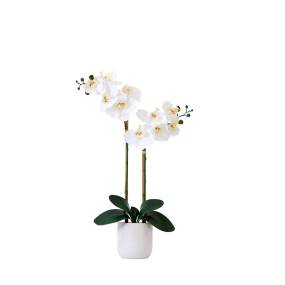 26in. Artificial Double Orchid Phalaenopsis with Decorative Vase (Real Touch) - Nearly Natural A2101