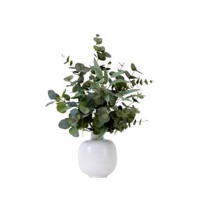 24in. Artificial Eucalyptus Leaves Arrangement with Ceramic Planter - Nearly Natural A2113
