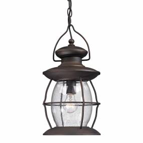Village Lantern 8'' Wide 1-Light Outdoor Pendant - Weathered Charcoal - Elk Lighting 47043/1