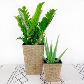 Set of 2 CATLEZA Smart Self-watering Square Planter for Indoor and Outdoor - Hand Woven Wicker - Brown - More4Home MCAT047