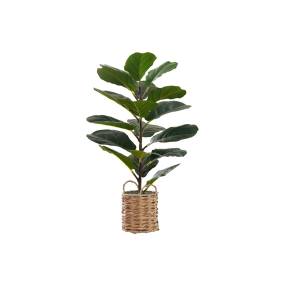 Artificial Plant- 28" Tall- Fiddle Tree- Indoor- Faux- Fake- Floor- Greenery- Potted- Real Touch- Decorative- Green Leaves- Beige Woven Basket-Monarch Specialties I 9505