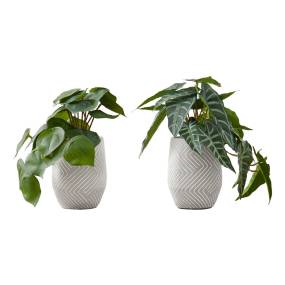 Artificial Plant- 8" Tall- Alocasia- Indoor- Faux- Fake- Table- Greenery- Potted- Set Of 2- Decorative- Green Leaves- White Cement Pots-Monarch Specialties I 9582