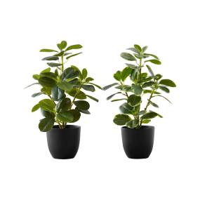 Artificial Plant- 14" Tall- Ficus- Indoor- Faux- Fake- Table- Greenery- Potted- Set Of 2- Decorative- Green Leaves- Black Pots-Monarch Specialties I 9585