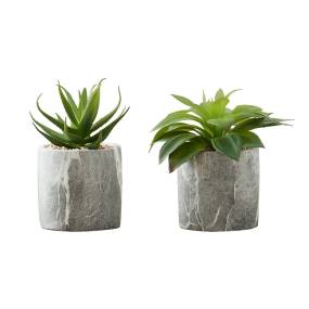 Artificial Plant- 6" Tall- Succulent- Indoor- Faux- Fake- Table- Greenery- Potted- Set Of 2- Decorative- Green Leaves- Grey Cement Pots-Monarch Specialties I 9586