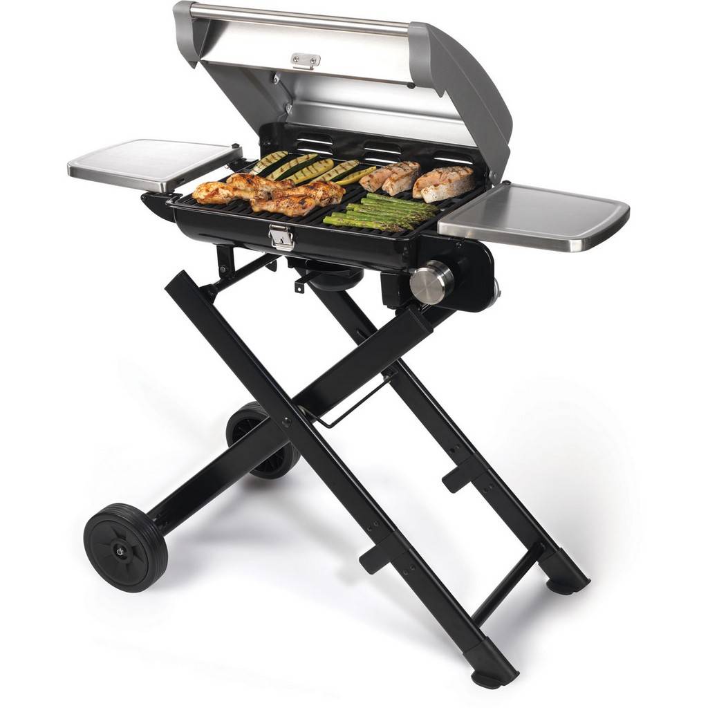 15000 BTU Folding Portable Propane BBQ Grill with Wheels and Side